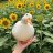 Alexander_Borov
